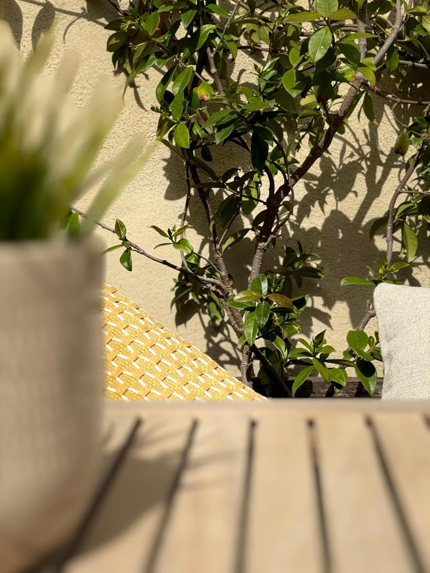 Modernist Gem Penthouse Apartment Barcelona